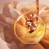 ABSOLUE REGENERATING SOFT CREAM ROUTINE SET